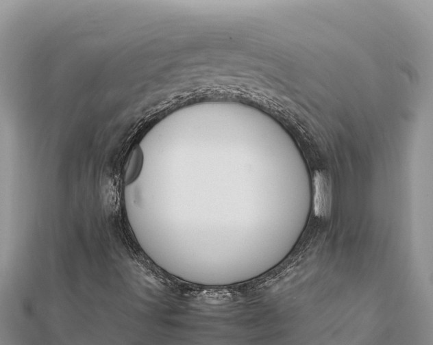 X0000112111491200908181336