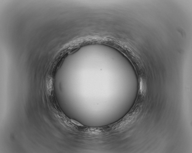 X0000112111492200908181336