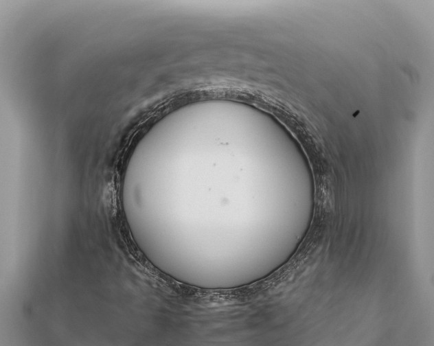 X0000112111493200908181336