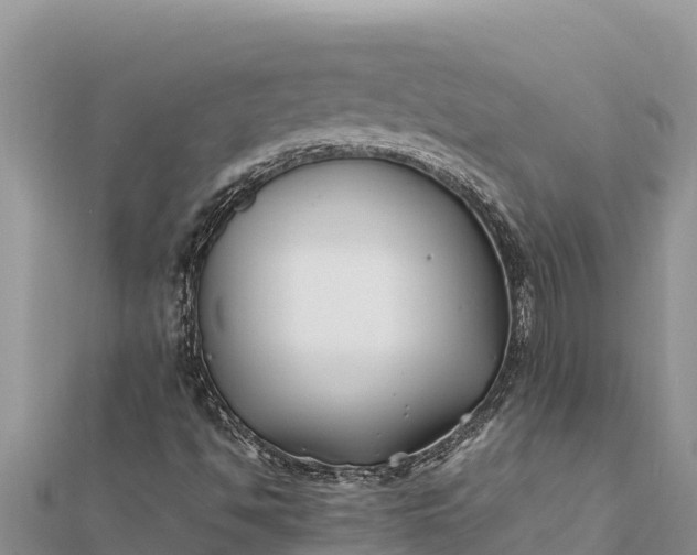 X0000112111494200908181336