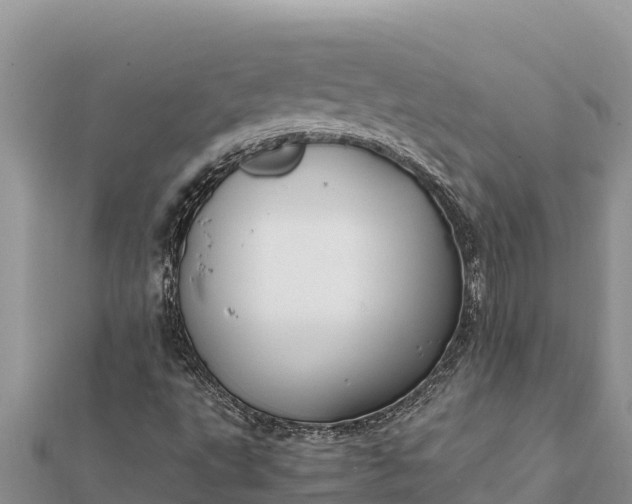 X0000112111495200908181336