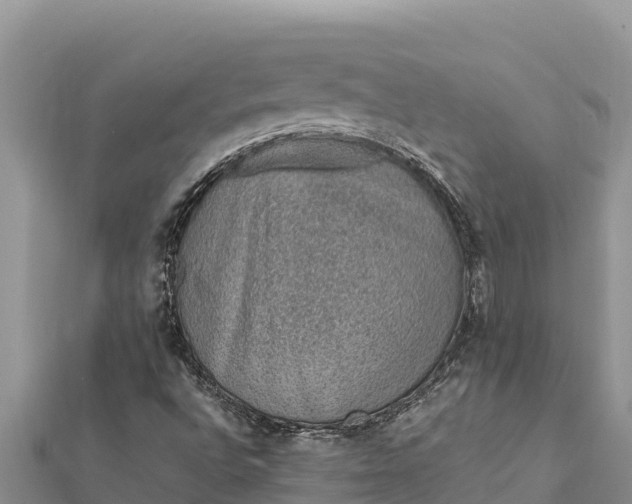 X0000112111496200908181336