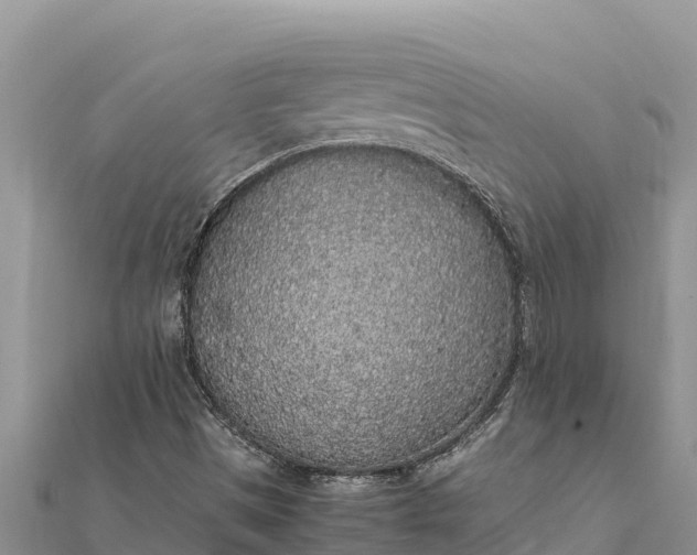 X0000112111497200908181336