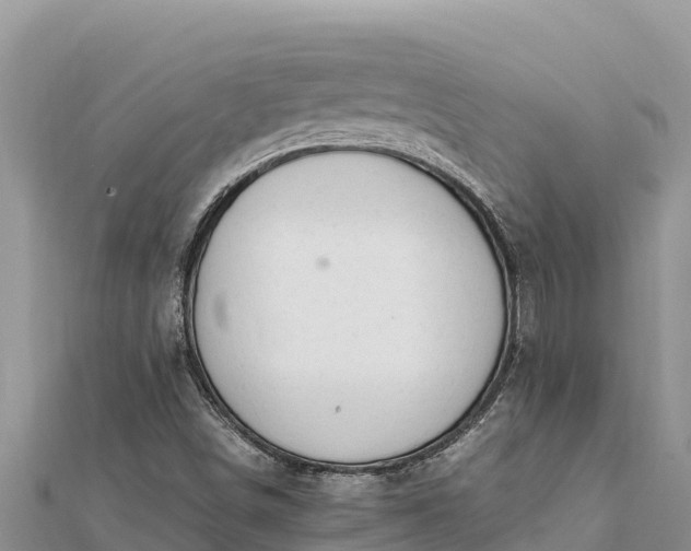 X0000112111498200908181336