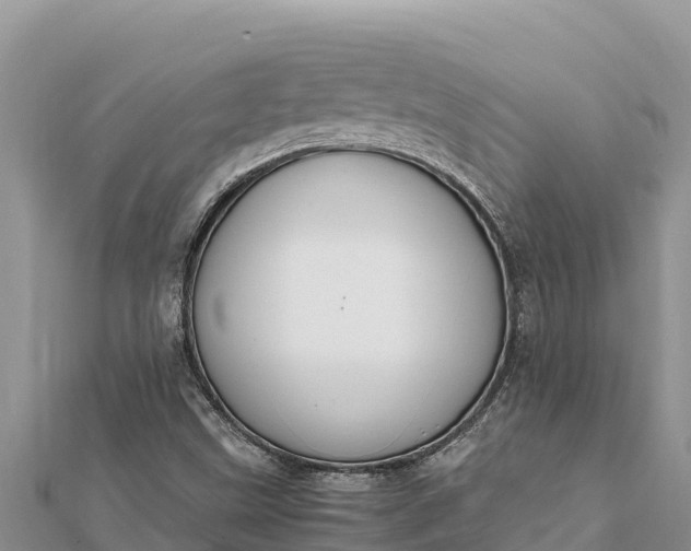 X0000112111499200908181336