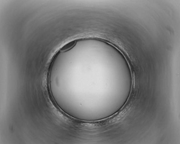 X0000112111500200908181336