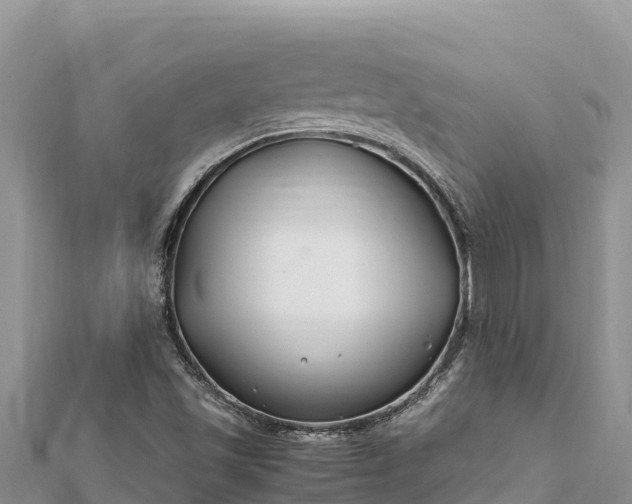 X0000112111501200908181336