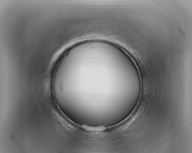 X0000112111502200908181336