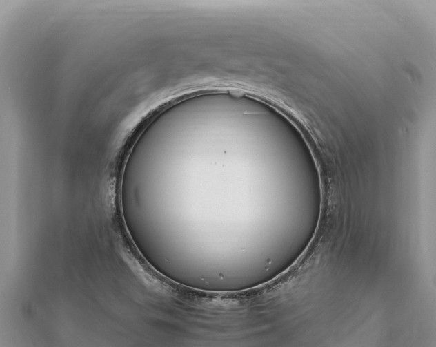 X0000112111503200908181336