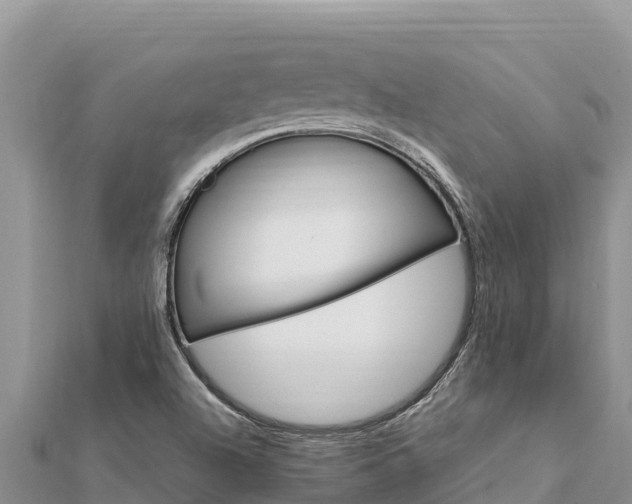 X0000112111504200908181336