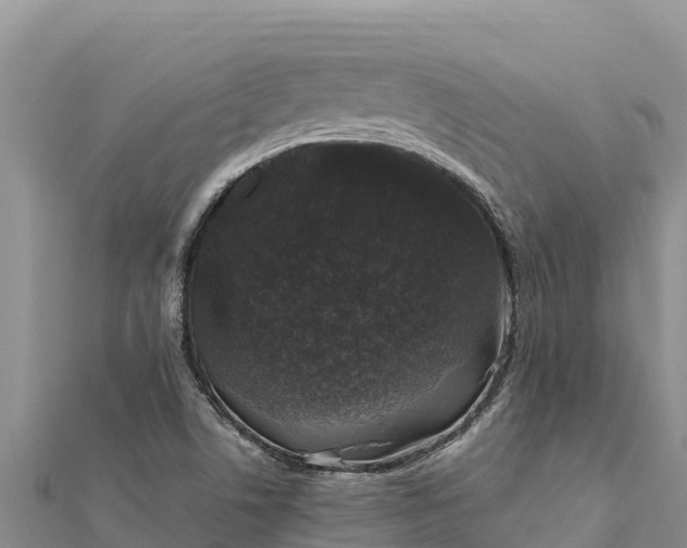 X0000112111506200908181336