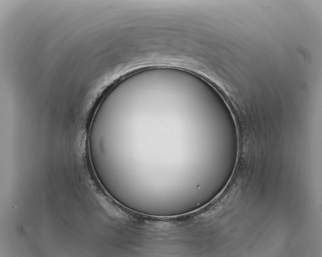 X0000112111507200908181336