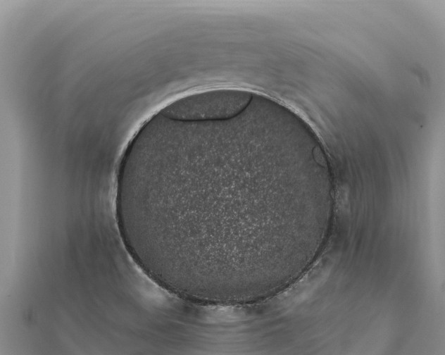 X0000112111508200908181336