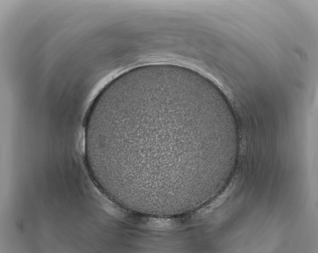 X0000112111509200908181336