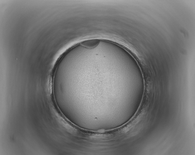 X0000112111510200908181336