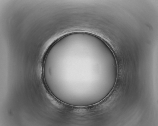 X0000112111511200908181336