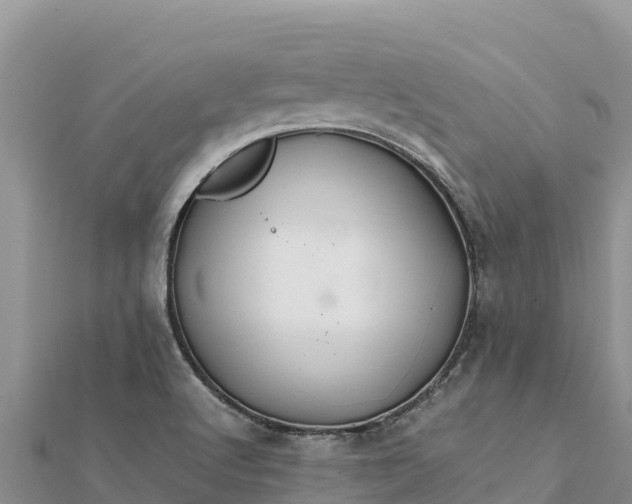 X0000112111512200908181336