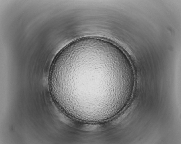 X0000112111513200908181336