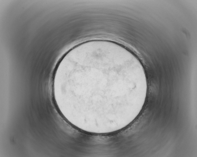 X0000112111514200908181336