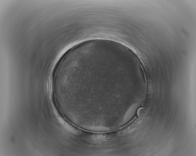 X0000112111515200908181336