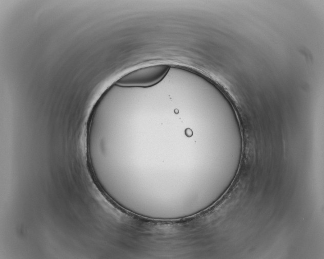 X0000112111516200908181336