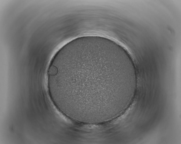 X0000112111517200908181336