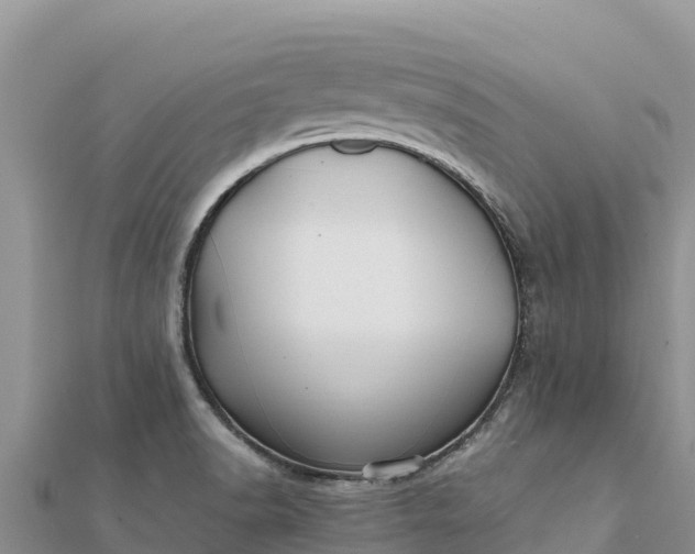 X0000112111518200908181336