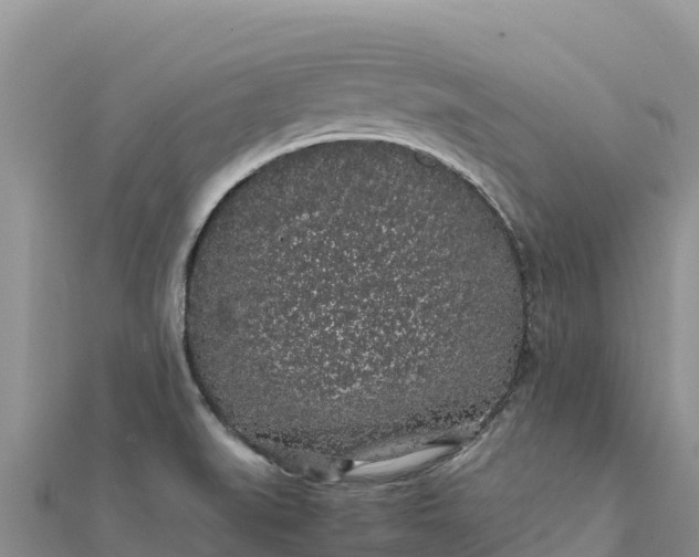 X0000112111519200908181336