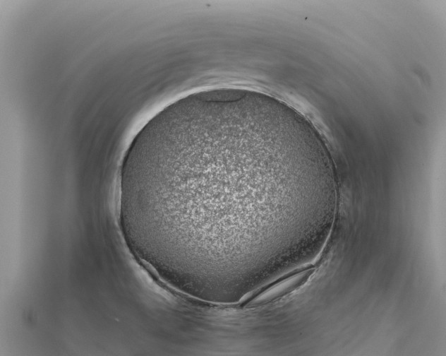 X0000112111520200908181336