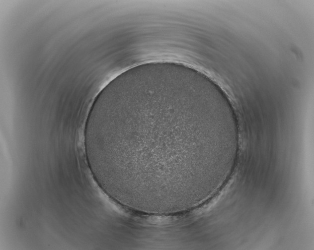 X0000112111521200908181336