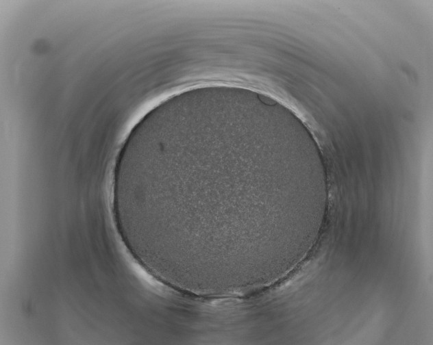 X0000112111523200908181336