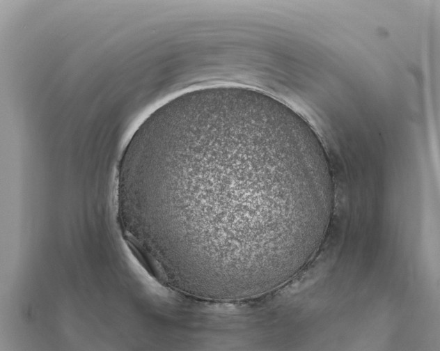 X0000112111524200908181336