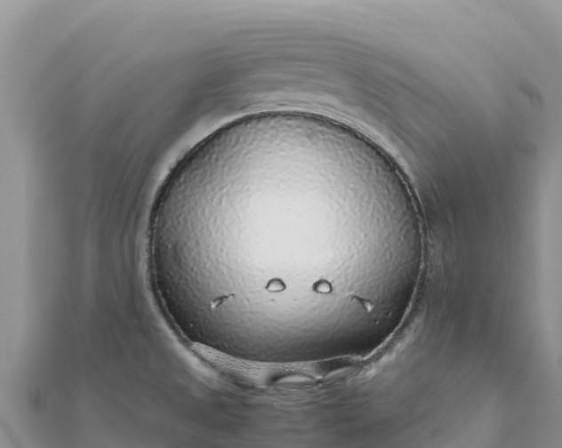 X0000112111525200908181336