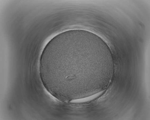 X0000112111527200908181336