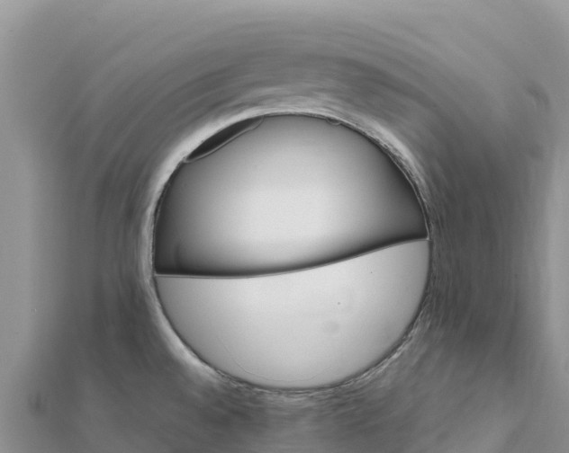 X0000112111528200908181336