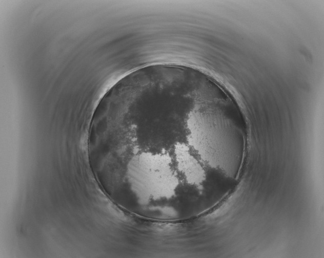 X0000112111529200908181336