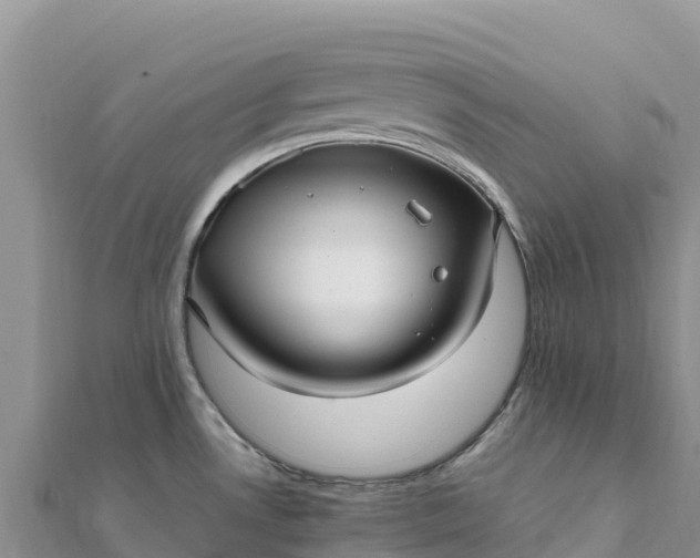 X0000112111530200908181336