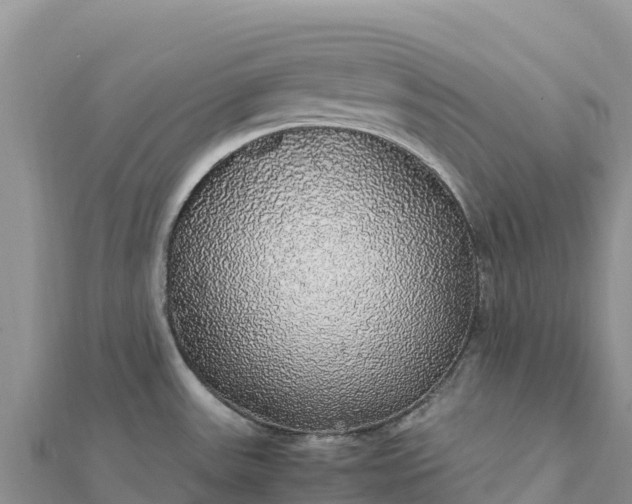 X0000112111531200908181336