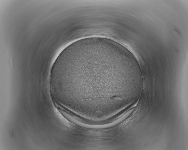 X0000112111532200908181336