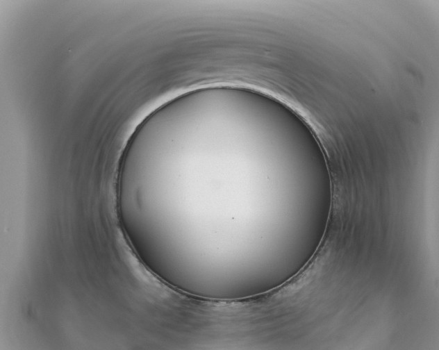 X0000112111534200908181336