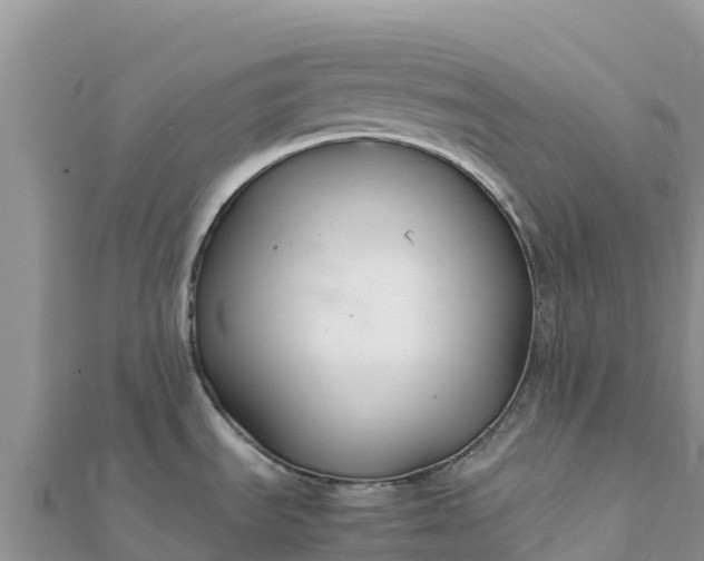 X0000112111535200908181336