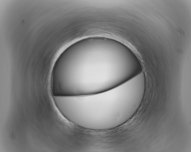 X0000112111536200908181336