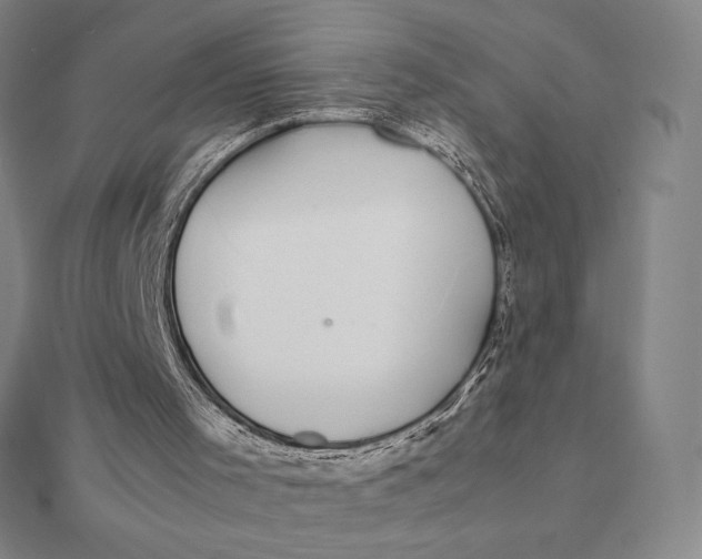 X0000112110001200908251221