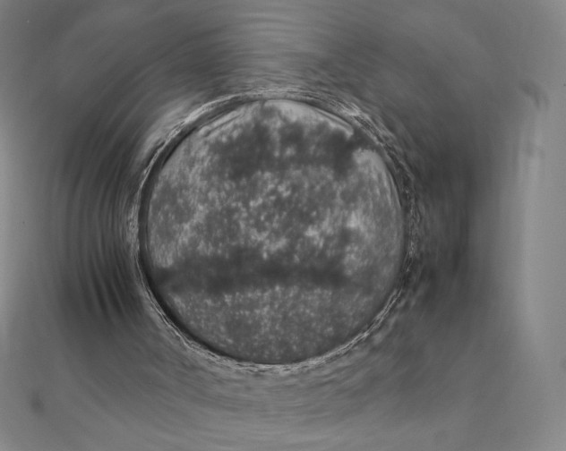 X0000112110002200908251221