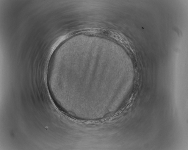 X0000112110003200908251221