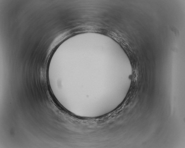 X0000112110004200908251221