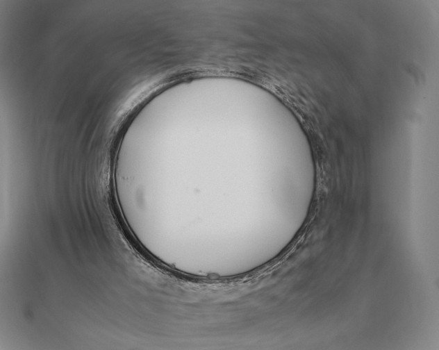 X0000112110005200908251221