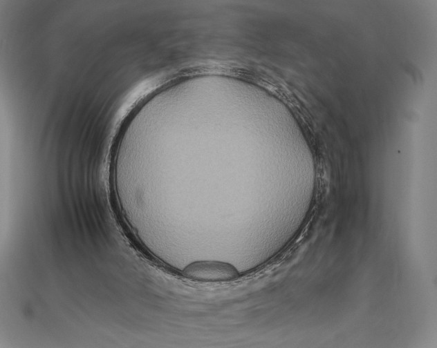 X0000112110006200908251221