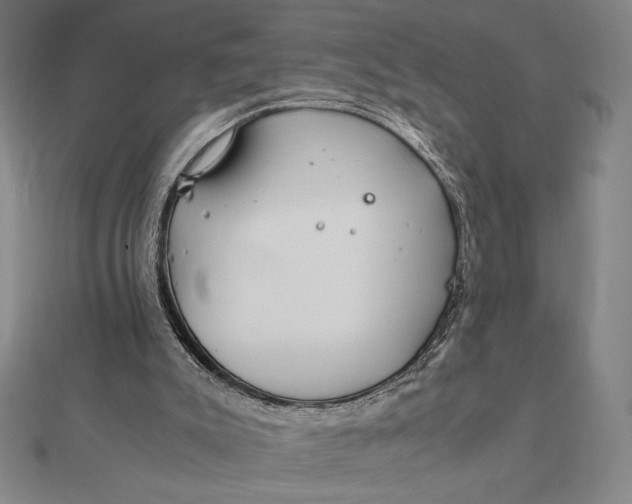 X0000112110007200908251221