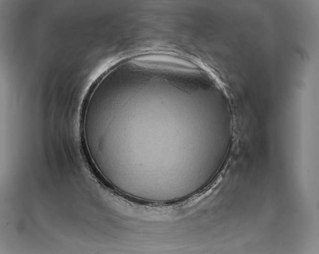 X0000112110008200908251221